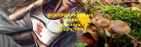 эйфоретик Богородск