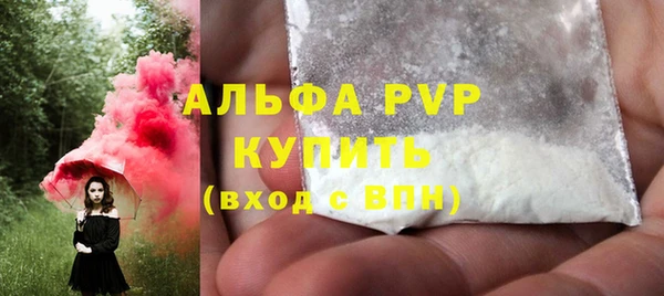 хмурый Богородицк